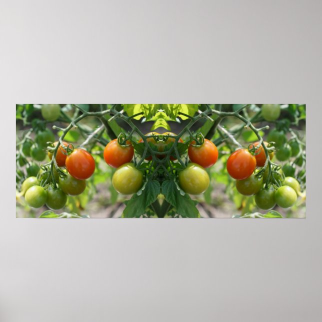 Garden Cherry Tomatoes Mirror Abstract Poster (Front)
