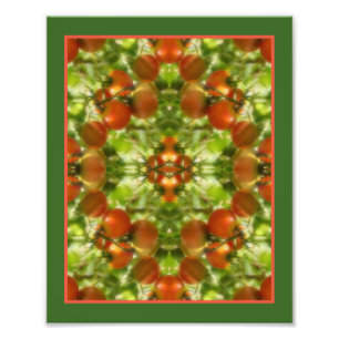 Garden Cherry Tomatoes Nature Mirror Abstract 8x10 Photo Print