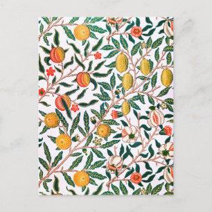 Garden Citrus Fruit Orange Lemon Vintage Postcard