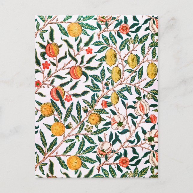 Garden Citrus Fruit Orange Lemon Vintage Postcard (Front)