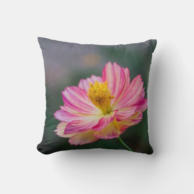 Garden Cosmos Flower Cushion (Front)