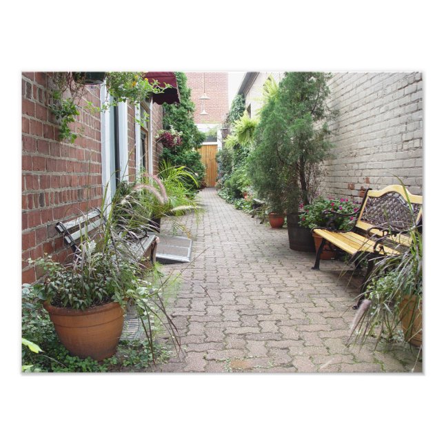 Garden Courtyard Photo Print (Front)
