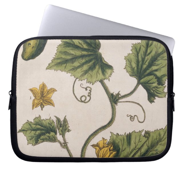 Garden Cucumber, plate 4 from 'A Curious Herbal', Laptop Sleeve (Front)