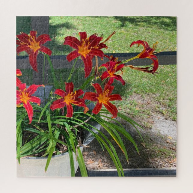 Garden Daylilies Flowers Summer Photo Nature Jigsaw Puzzle (Vertical)