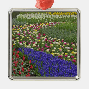 Garden design of Grape Hyacinth, and tulips, Metal Tree Decoration