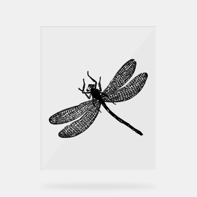 Garden Dragonfly Print Gift Tee Acrylic Sign (Front)