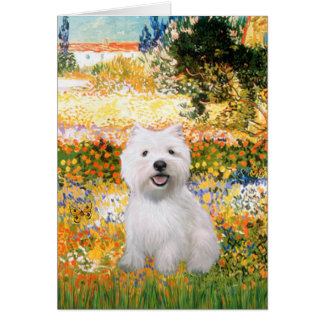 Garden Fiorito - Westie 2