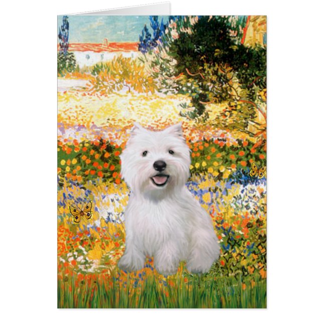 Garden Fiorito - Westie 2 (Front)