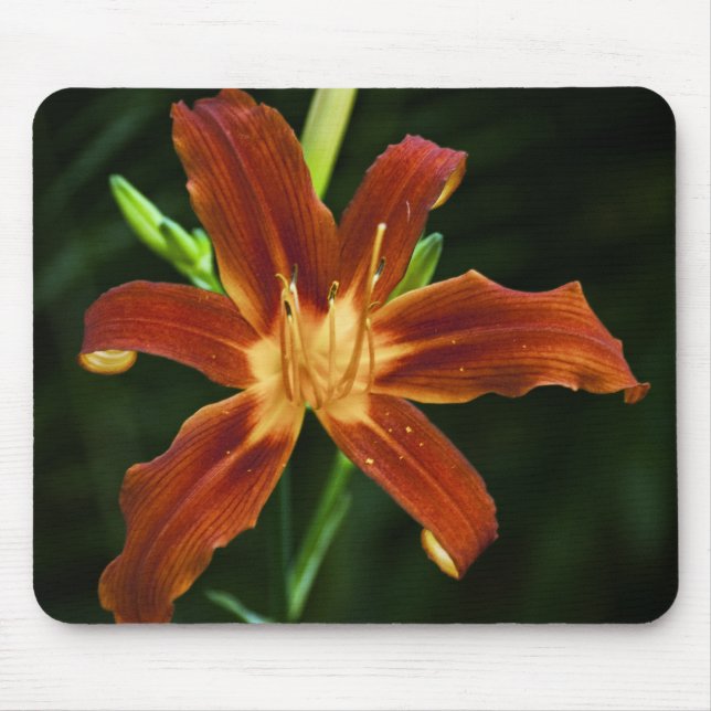 Garden Flame Mousepad (Front)