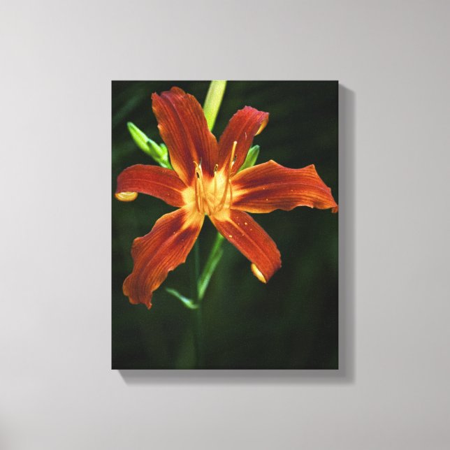 Garden Flame Wrapped Canvas (Front)