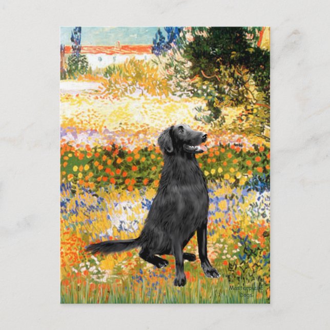 Garden - Flat Coated Retriever Postcard (Front)