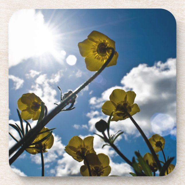 GARDEN FLOWER COASTER (Front)