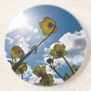 GARDEN FLOWER COASTER