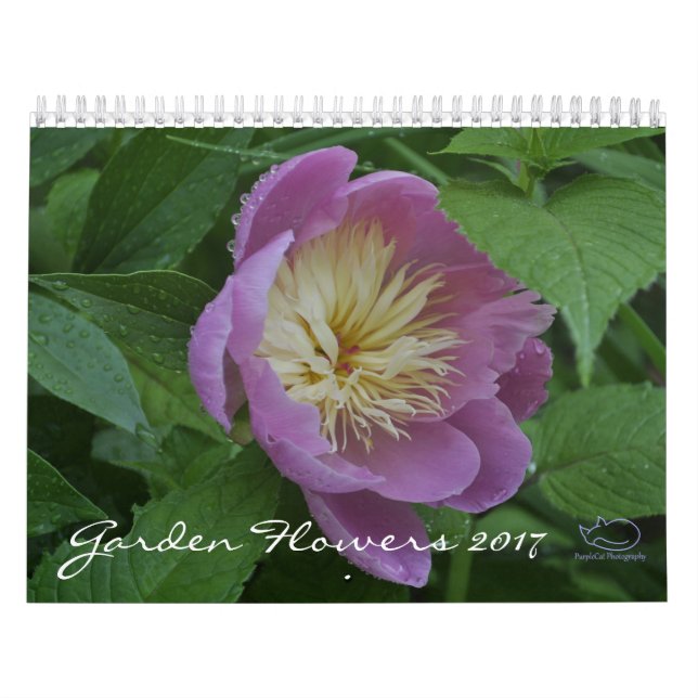 Garden Flowers 2017 Calendar (Cover)