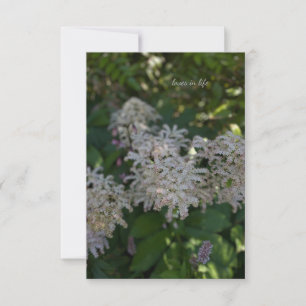 Garden Flowers Card