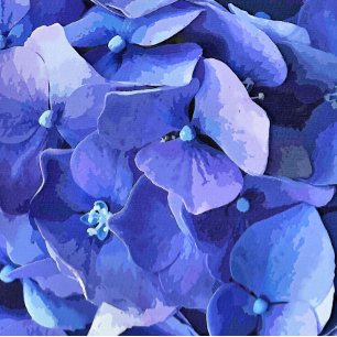 GARDEN FLOWERS POSTER