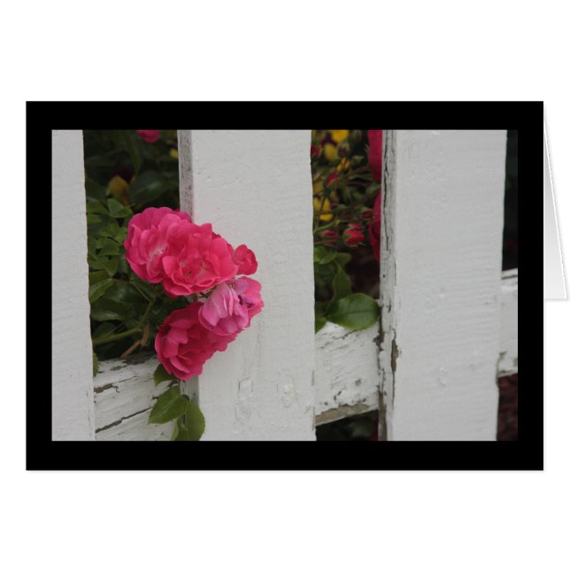 Garden Gate (Front Horizontal)