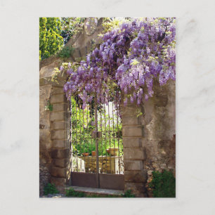 Garden Gate Postcard