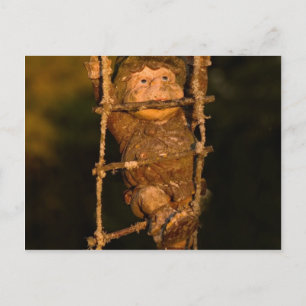 garden gnome postcard