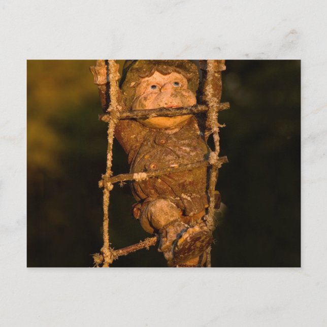 garden gnome postcard (Front)