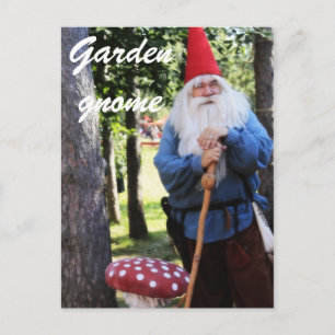 Garden Gnome Postcard
