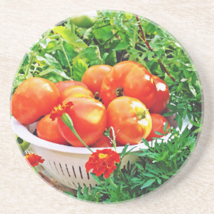 Garden Goodies Coaster
