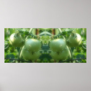 Garden Green Tomatoes Nature Mirror Abstract Poster
