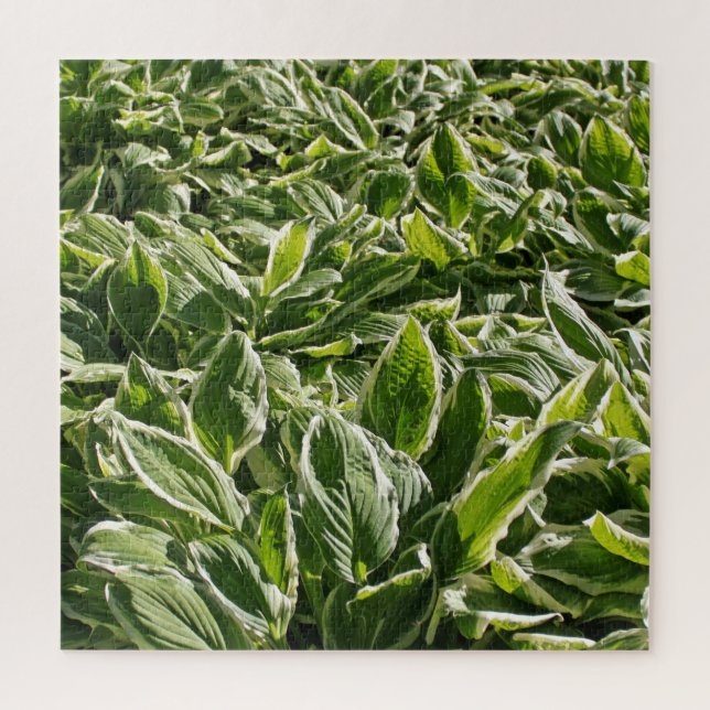 Garden Green White Hosta Plants Botanical Prints Jigsaw Puzzle (Vertical)