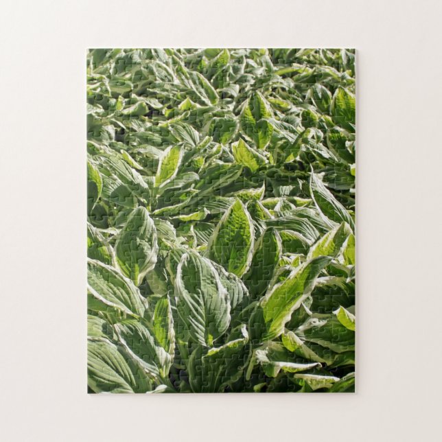 Garden Green White Hosta Plants Summer Spring Cool Jigsaw Puzzle (Vertical)