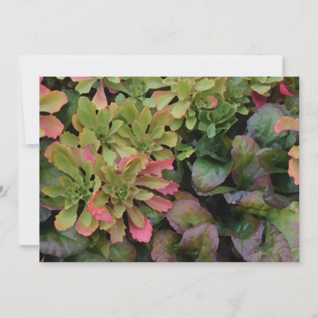 Garden Groundcovers Invitation (Front)