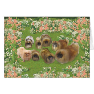 Garden Group