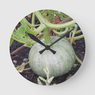 Garden: Growing Pumpkin Round Clock