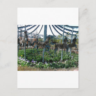 garden horse postcard