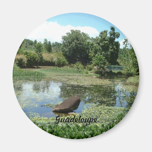 Garden in Guadeloupe Magnet (Front)