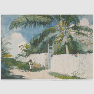 Garden in Nassau (Capital City of the Bahamas) Tissue Paper