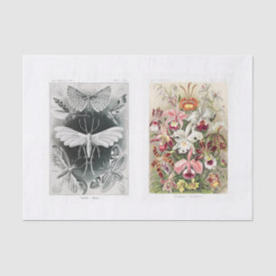 Garden insect and floral decoupage tissue paper