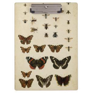 Garden Insects by Vision Studio Clipboard