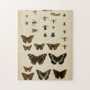 Garden Insects by Vision Studio Jigsaw Puzzle