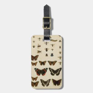 Garden Insects by Vision Studio Luggage Tag