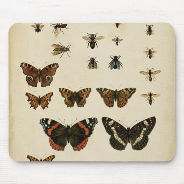 Garden Insects by Vision Studio Mouse Mat (Front)