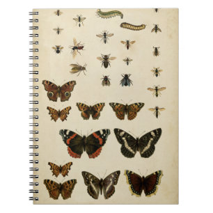 Garden Insects by Vision Studio Notebook