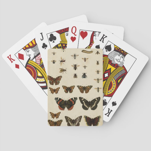 Garden Insects by Vision Studio Playing Cards (Back)