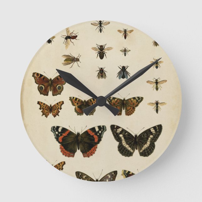 Garden Insects by Vision Studio Round Clock (Front)