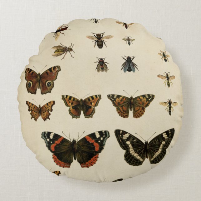 Garden Insects by Vision Studio Round Cushion (Front)