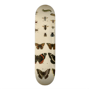 Garden Insects by Vision Studio Skateboard
