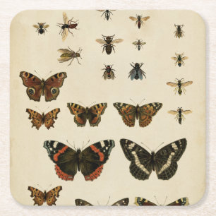 Garden Insects by Vision Studio Square Paper Coaster