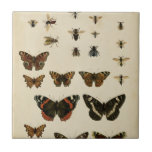 Garden Insects by Vision Studio Tile<br><div class="desc">This Vision Studio piece is an entomologists dream! Garden insects are drawn on a cream background, shown in achingly beautiful detail. If you love insects this is the print for you!</div>