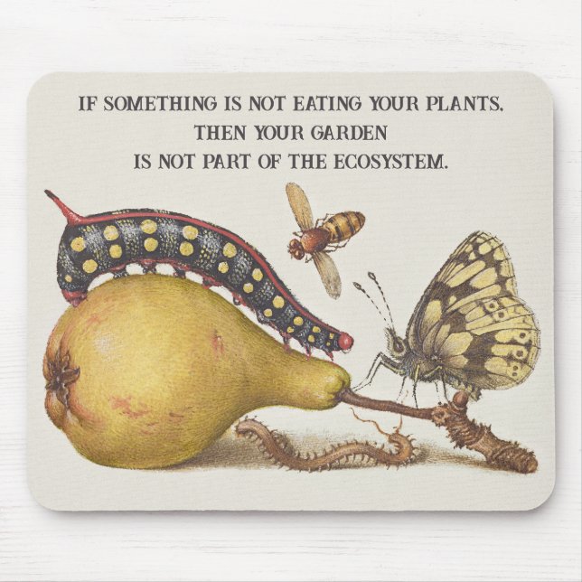 Garden Insects, Fly, Caterpillar, Pear, Centipede Mouse Mat (Front)