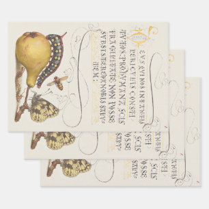 Garden Insects, Fly, Caterpillar, Pear, Centipede Wrapping Paper Sheet