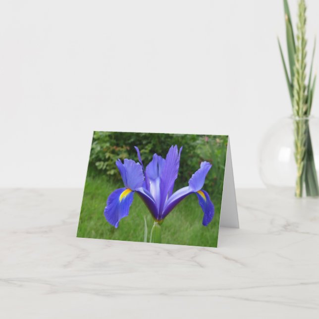 Garden Iris Note Card (Front)